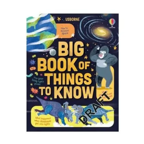 Usborne publishing ltd Big book of things to know