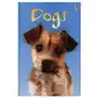 Usborne publishing ltd Emma helbrough - dogs Sklep on-line