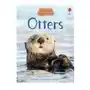 Usborne publishing ltd James maclaine - otters Sklep on-line