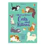 Usborne publishing ltd Little first stickers cats and kittens Sklep on-line