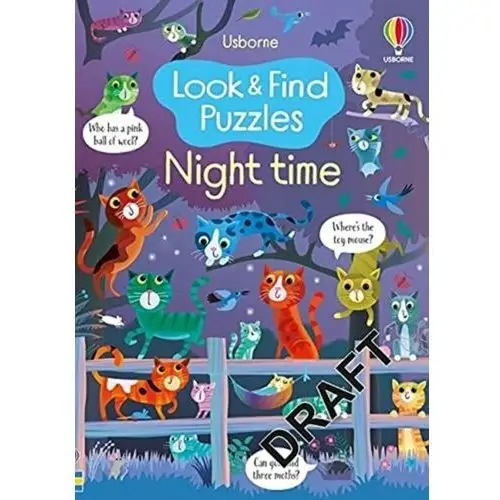 Look and find puzzles night time Usborne publishing ltd