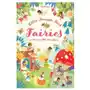 Usborne publishing ltd Transfer activity book fairies Sklep on-line