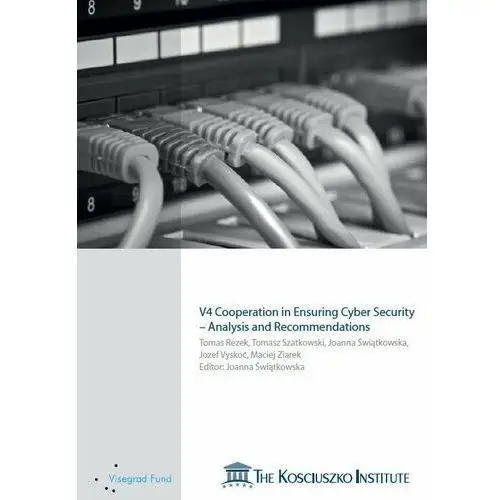 V4 Cooperation in Ensuring Cyber Security – Analysis and Recommendations