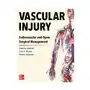 Vascular Injury: Endovascular and Open Surgical Management Sklep on-line