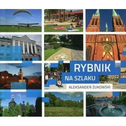 Rybnik na szlaku Vectra