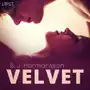 Velvet – 20 opowiadań erotycznych na seksowny wieczór Sklep on-line