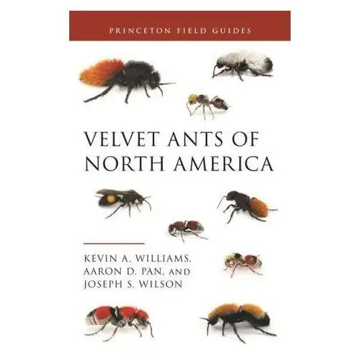 Velvet ants of north america Princeton university press