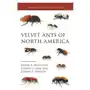 Velvet ants of north america Princeton university press Sklep on-line