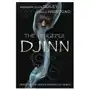 Vengeful djinn Llewellyn publications,u.s Sklep on-line