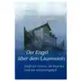 Der engel über dem lauenstein Verlag am goetheanum Sklep on-line