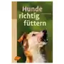 Hunde richtig füttern Sklep on-line