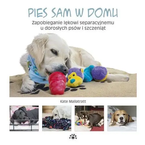 Pies sam w domu. zapobieganie lękowi... Vesper