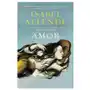 Isabel Allende - Amor Sklep on-line