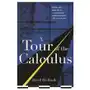 Vintage publishing A tour of the calculus Sklep on-line