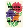 Disability Intimacy: Essays on Love, Care, and Desire Sklep on-line