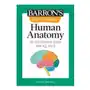 Visual Learning: Human Anatomy: An Illustrated Guide for All Ages Sklep on-line