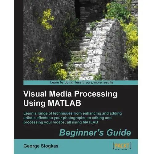 Visual Media Processing Using MATLAB