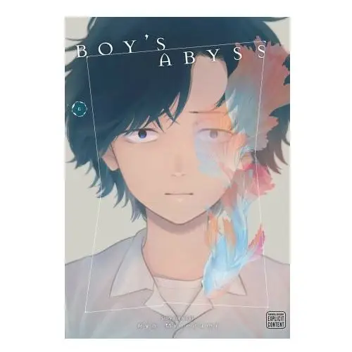 Viz media llc Boy's abyss, vol. 6