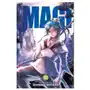 Magi: The Labyrinth of Magic, Vol. 10 Sklep on-line