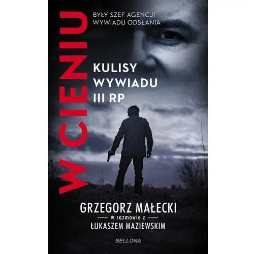 W cieniu. kulisy wywiadu iii rp