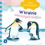 W krainie wiecznych lodów Sklep on-line