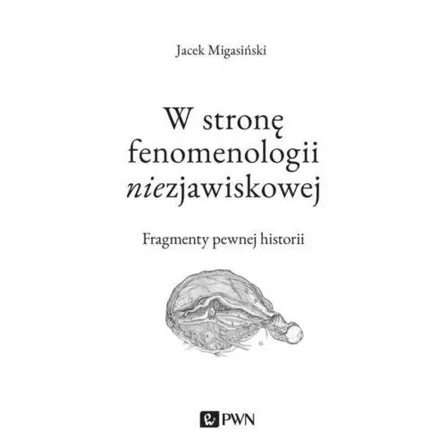 W Stronę Fenomenologii Niezjawiskowej Fragmenty Pewnej Historii - Jacek Migasiński