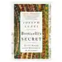 Botticelli's secret: the lost drawings and the rediscovery of the renaissance W w norton & co Sklep on-line