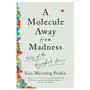 Molecule away from madness - tales of the hijacked brain W w norton & co Sklep on-line