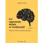 Wam Co naprawdę działa w medytacji? wspólny rdzeń i specyfika medytacji Sklep on-line