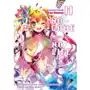 No Game No Life Light Novel. Tom 11 Sklep on-line