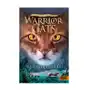 Warrior Cats - Vision von Schatten. Wütender Sturm Sklep on-line