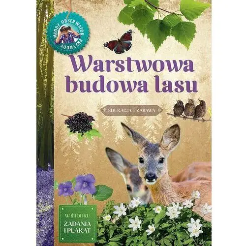 Warstwowa budowa lasu. Młody Obserwator Przyrody