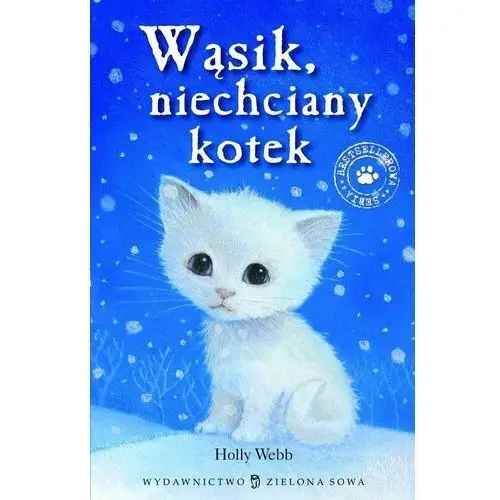 Wąsik, niechciany kotek. Zaopiekuj się mną