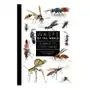 Wasps of the world – a guide to every family Princeton university press Sklep on-line
