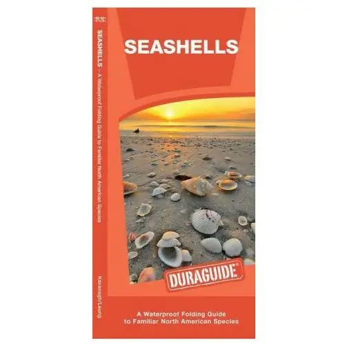 Waterford pr Seashells: a waterproof folding guide to familiar north american species