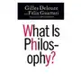 What is Philosophy? Sklep on-line