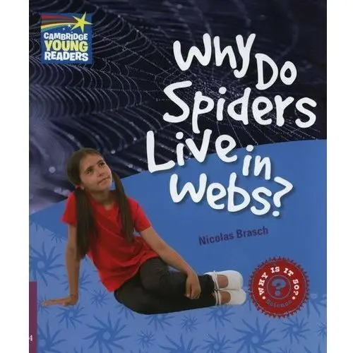 Why Do Spiders Live in Webs?
