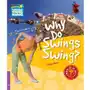 Why Do Swings Swing? Cambridge Young Readers. Poziom 4,09 Sklep on-line