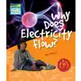 Why Does Electricity Flow? Sklep on-line