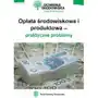 Opłata środowiskowa i produktowa – praktyczne problemy Wiedza i praktyka Sklep on-line