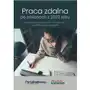 Praca zdalna po zmianach z 2023 r. - zasady wprowadzania i stosowania, przykłady wzory zapisów Sklep on-line