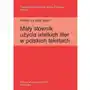 Wielką czy małą literą? Mały słownik użycia wielkich liter w polskich tekstach Sklep on-line