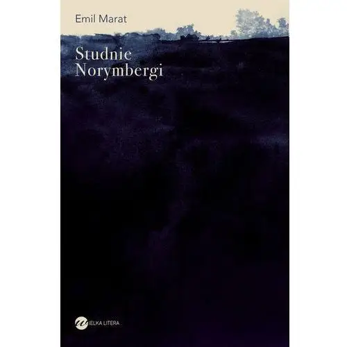 Studnie Norymbergi - Emil Marat - książka