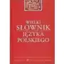 Wielki słownik języka polskiego Sklep on-line