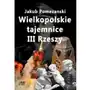 Wielkopolskie tajemnice III Rzeszy Sklep on-line