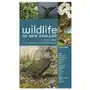 Wildlife of New Zealand - A Field Guide Fully Revised and Expanded Sklep on-line