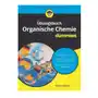 Uebungsbuch organische chemie fur dummies Wiley-vch verlag gmbh Sklep on-line