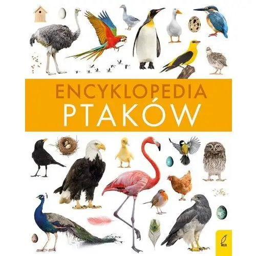 Wilga Encyklopedia ptaków