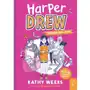 Harper Drew. Dziennik katastrofy Sklep on-line