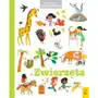 Pierwsza encyklopedia. zwierzęta Wilga Sklep on-line